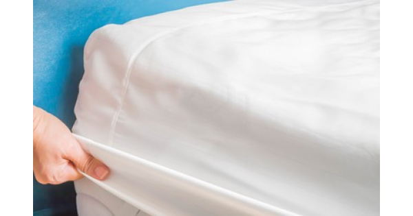 Choose The Right Bed Bug Protector To Keep Bugs At Bay